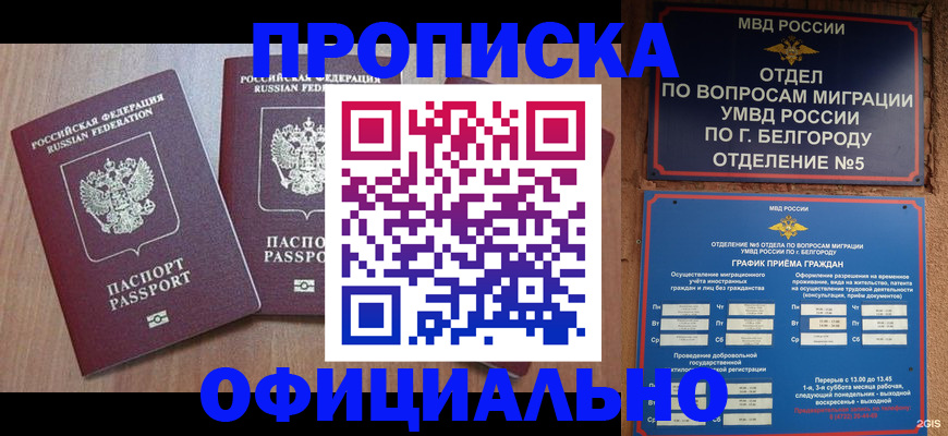 найти адрес прописки в Ярославской области